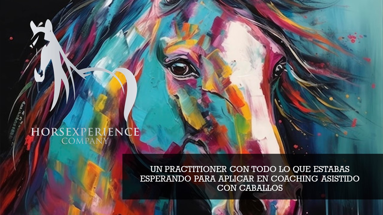 Practitioner El arte de disenar de manera creativa 2024-1